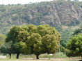 /album/defale-images-bilder/p1070177-jpg/